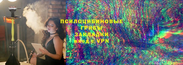сатива Бронницы
