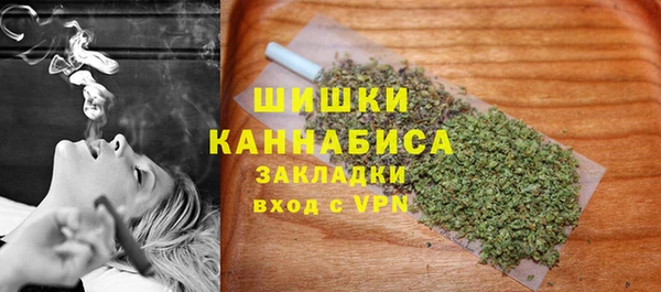 сатива Бронницы